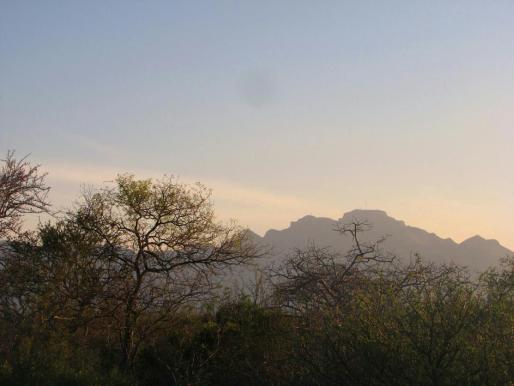 House to rent in Raptors View Wildlife Estate - 1HS1245474