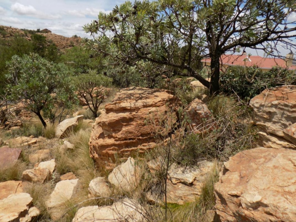 Vacant land for sale in Bronkhorstbaai - PRN1246380