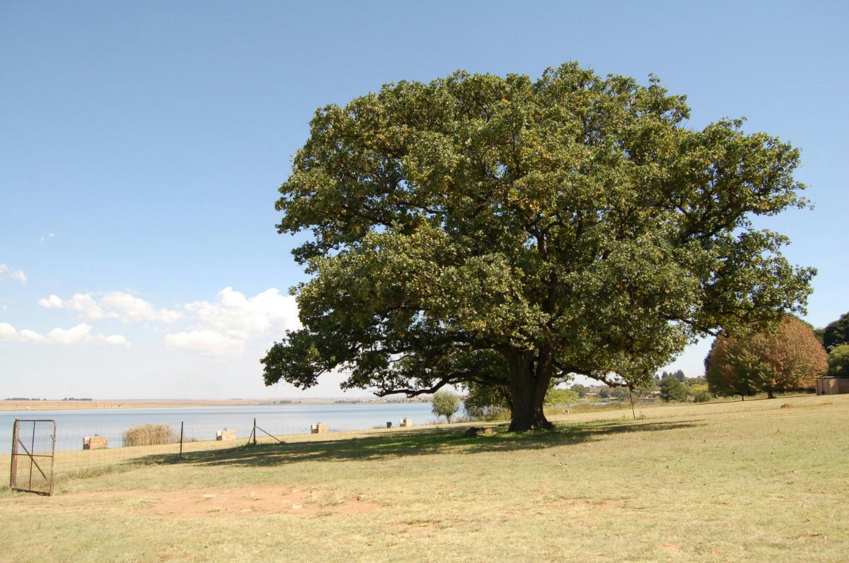 Residential vacant land for sale in Bronkhorstbaai - PRN1191678