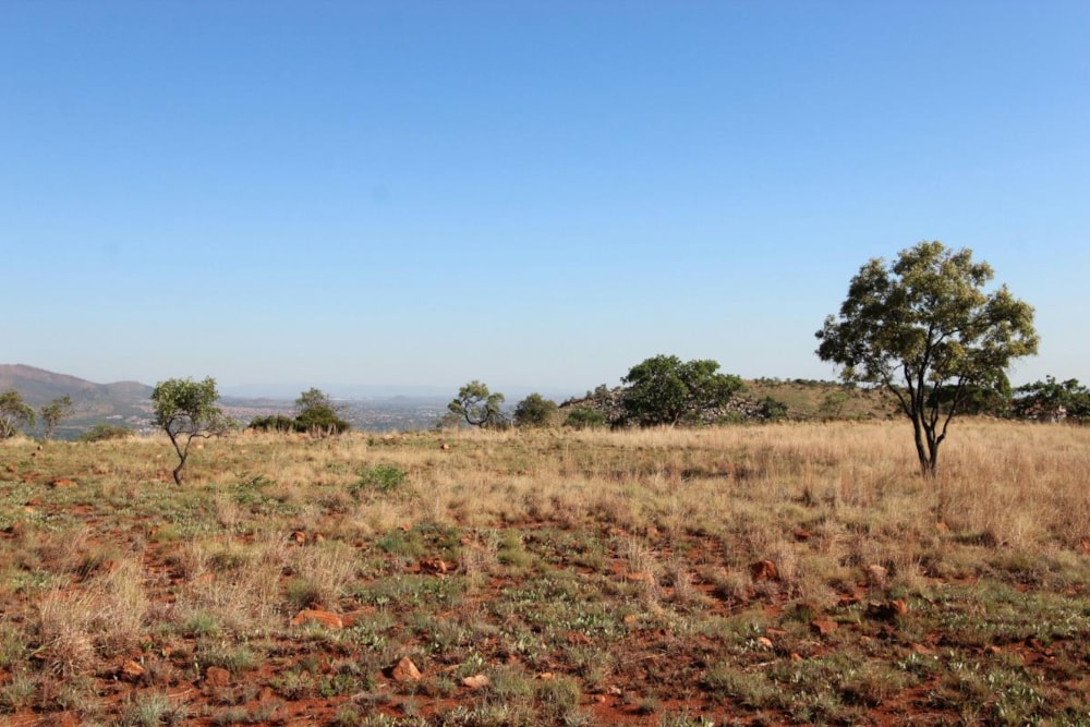 Residential vacant land for sale in Boschdal - 1RU1245596