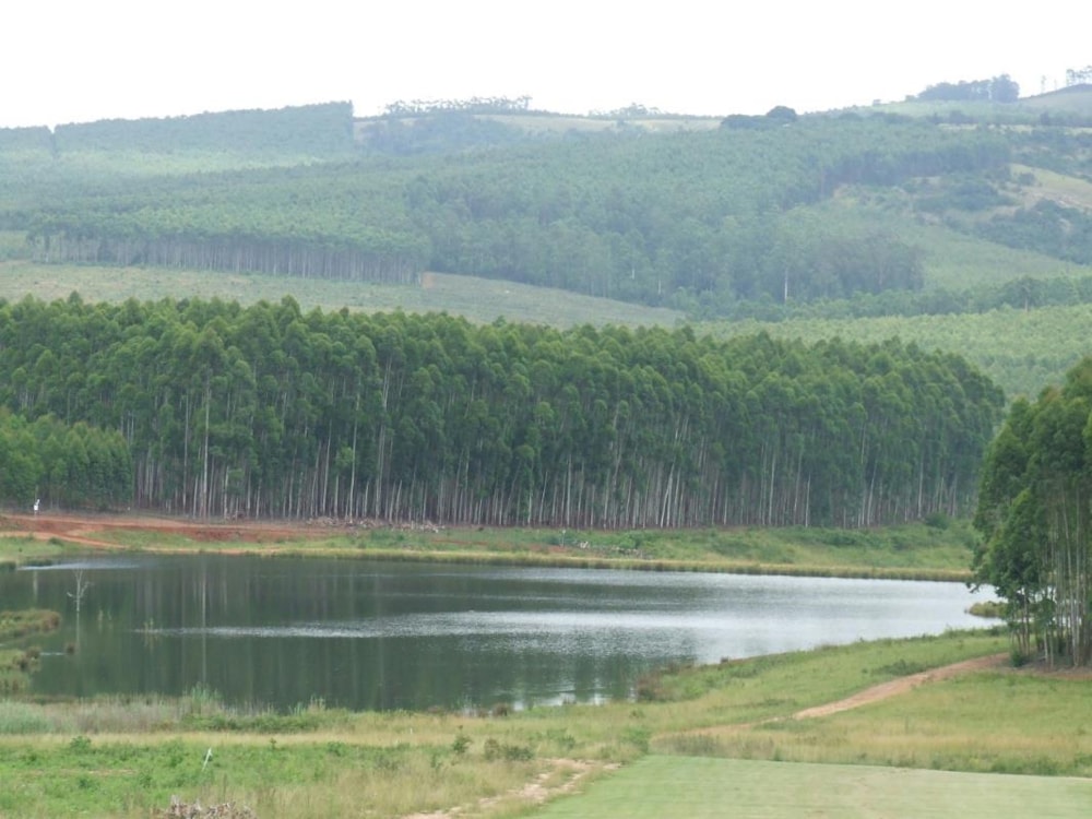 Residential vacant land for sale in White River - 1WR1251086