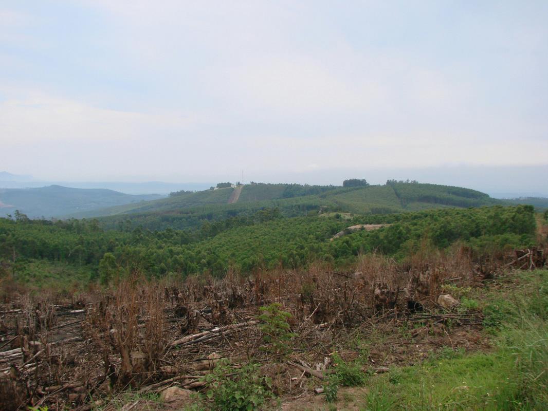 Plantation for sale in White River - 1WR1254771