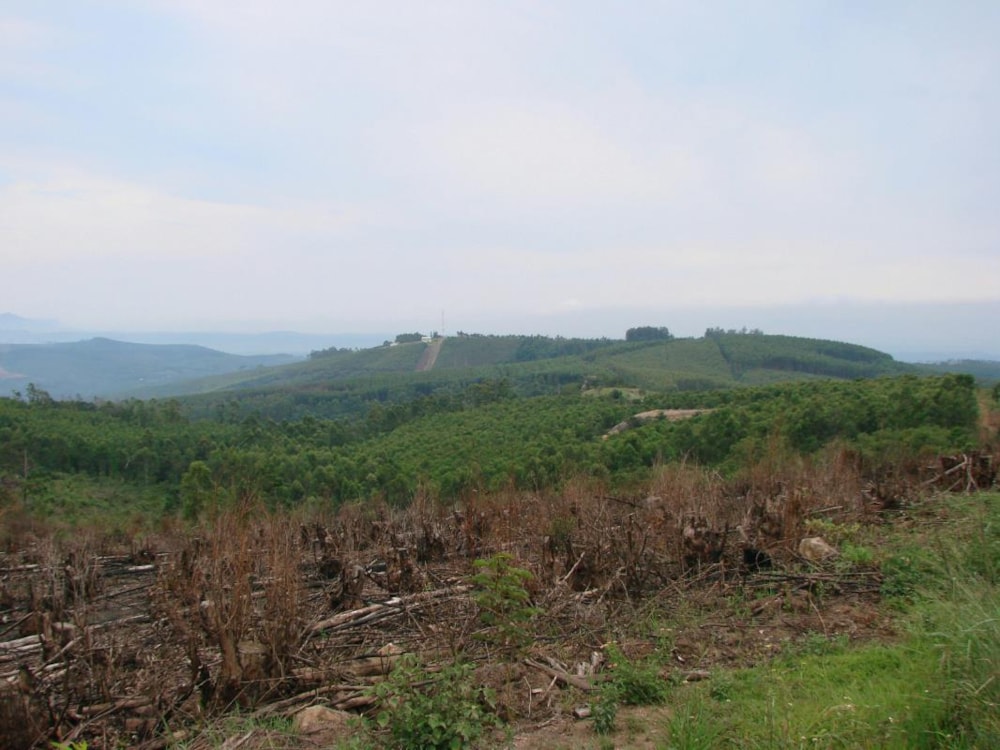 Plantation for sale in White River - 1WR1254771 Plantation for sale in White River - 1WR1254771