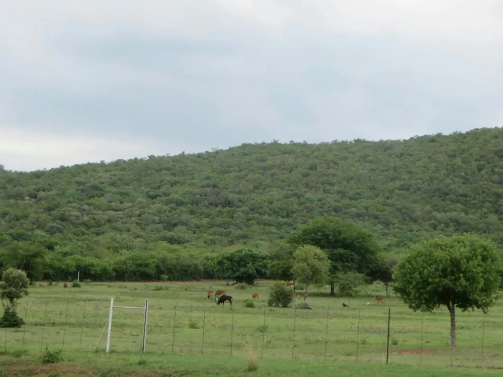 Game farm for sale in Brits - 1HR1256520