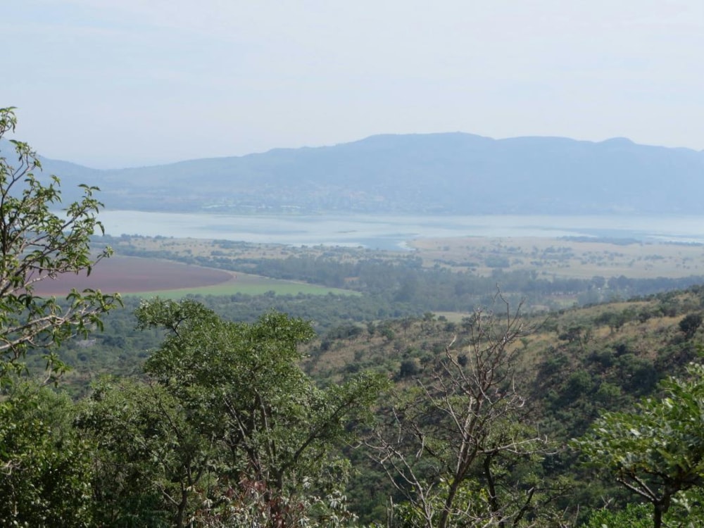 Mixed use farm for sale in Skeerpoort - 1HR1257907