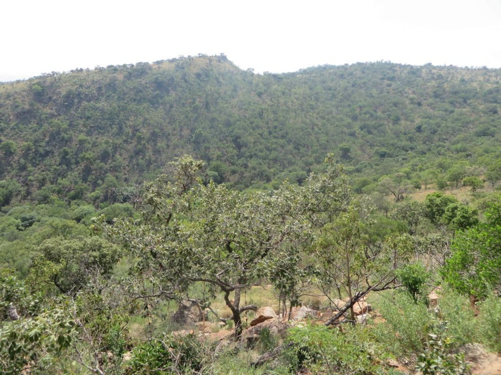 Mixed use farm for sale in Skeerpoort - 1HR1257907