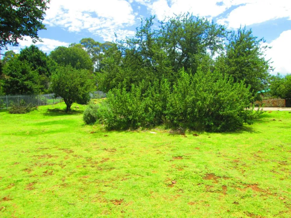 Vacant land for sale in Dullstroom - 1DS1258308