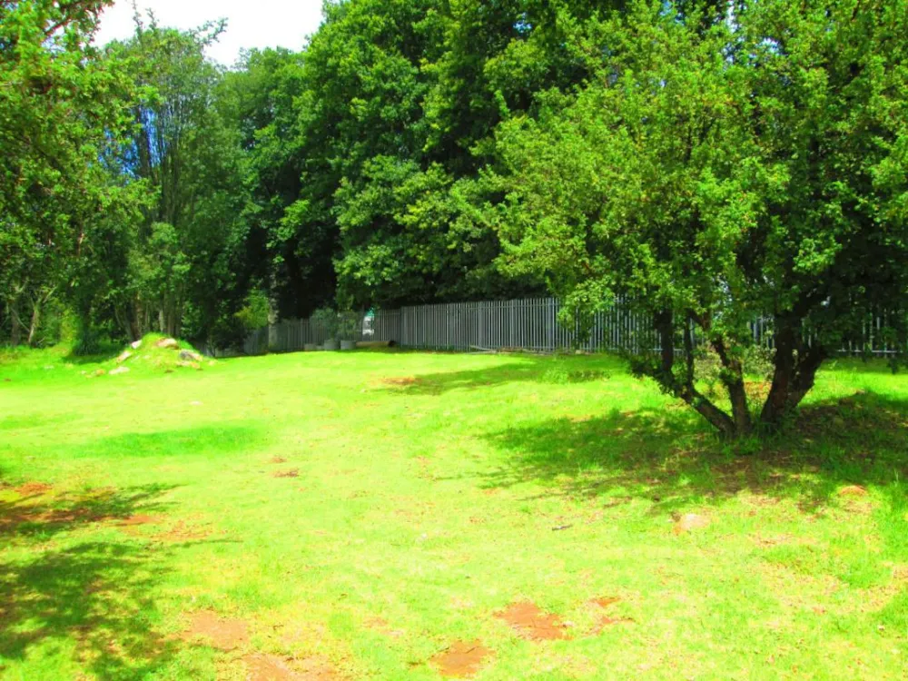 Vacant land for sale in Dullstroom - 1DS1258308