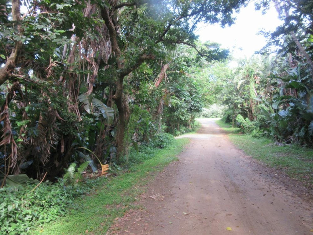 Vacant land for sale in Leisure Bay - 1PD1027263 Vacant land for sale in Leisure Bay - 1PD1027263