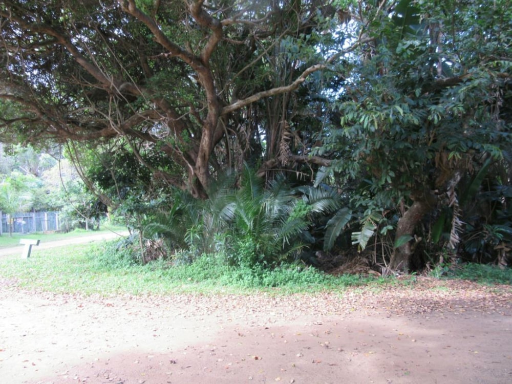 Vacant land for sale in Leisure Bay - 1PD1027263 Vacant land for sale in Leisure Bay - 1PD1027263