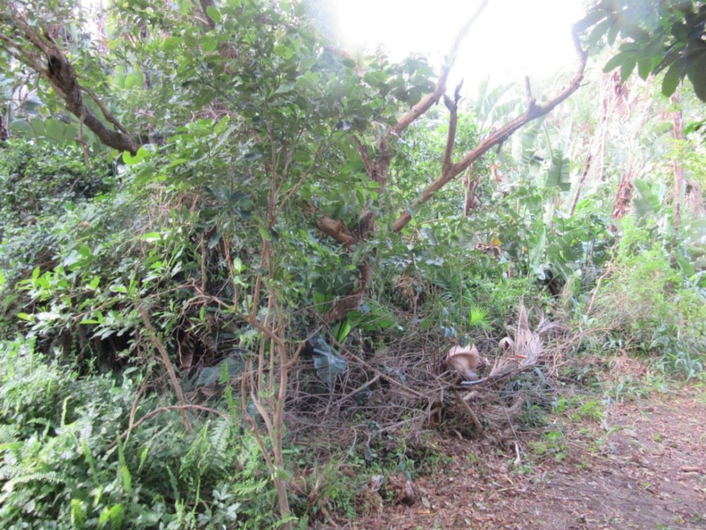 Vacant land for sale in Leisure Bay - 1PD1027263 Vacant land for sale in Leisure Bay - 1PD1027263