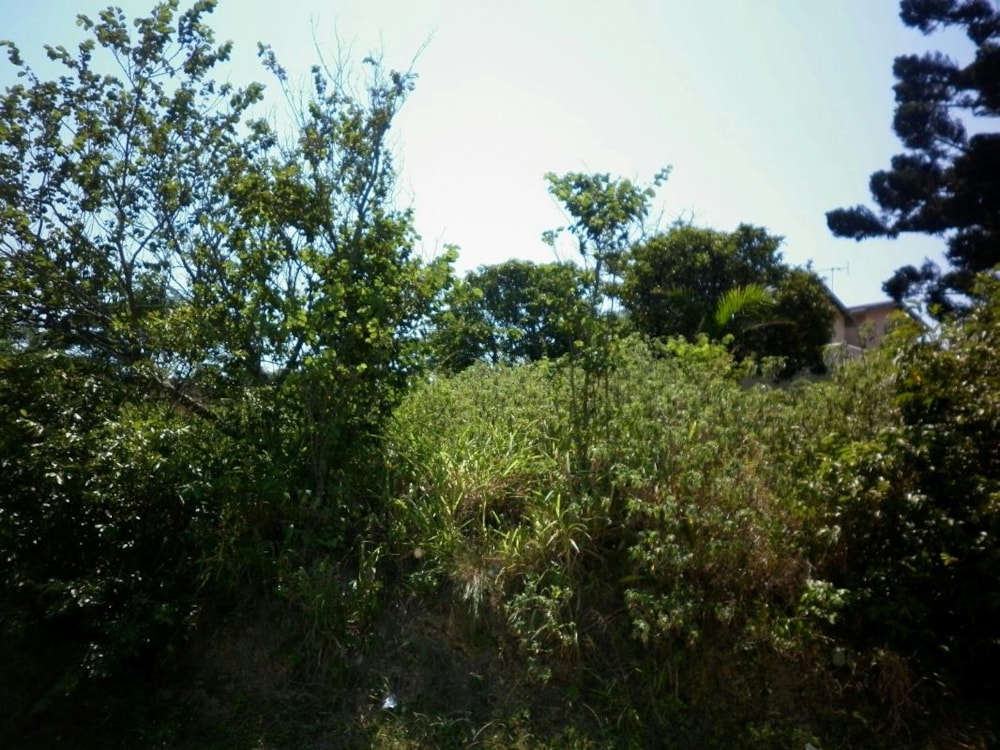 Residential vacant land for sale in Umzinto - 1si1259483