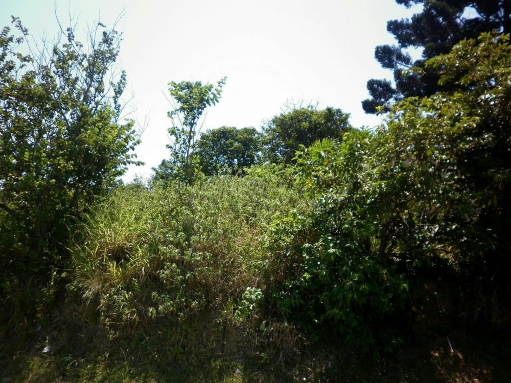 Residential vacant land for sale in Umzinto - 1si1259483