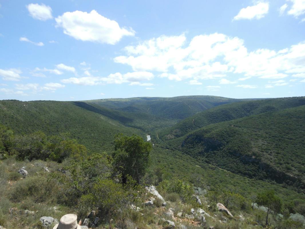 Mixed use farm for sale in Alexandria - 1GC1261673