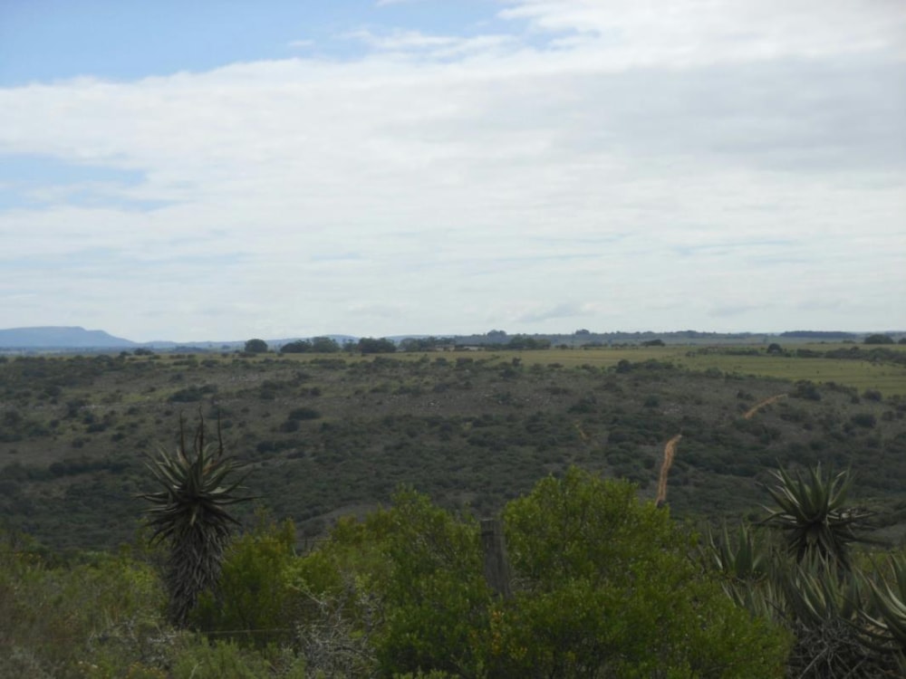 Mixed use farm for sale in Alexandria - 1GC1261673