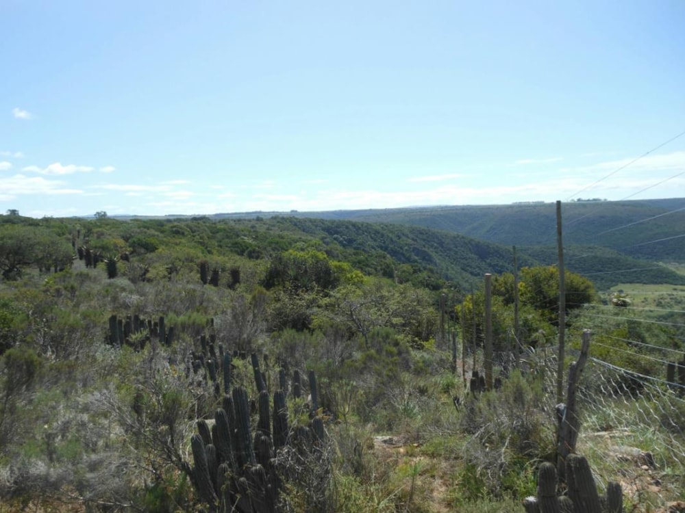 Mixed use farm for sale in Alexandria - 1GC1261673