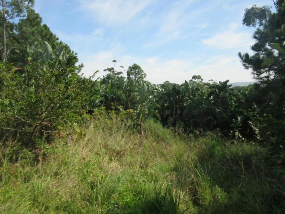 Vacant land for sale in Leisure Bay - 1PD1264139 Vacant land for sale in Leisure Bay - 1PD1264139