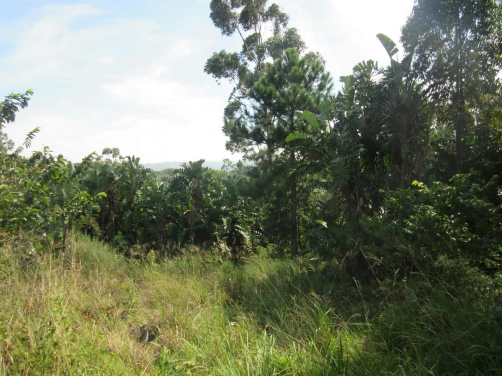 Vacant land for sale in Leisure Bay - 1PD1264139 Vacant land for sale in Leisure Bay - 1PD1264139