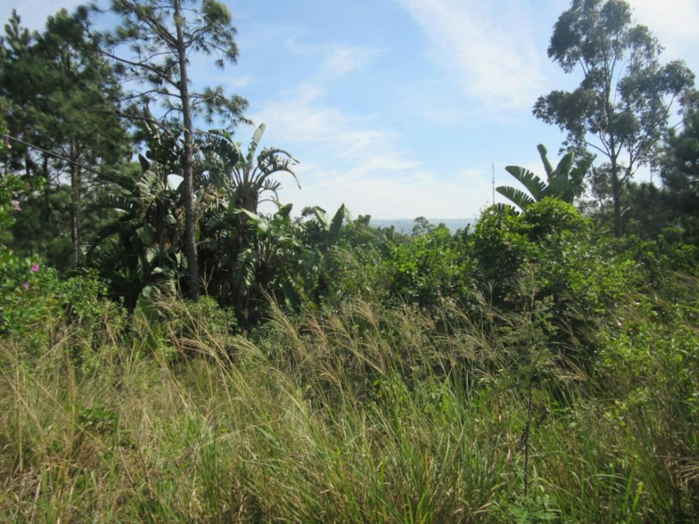 Vacant land for sale in Leisure Bay - 1PD1264139 Vacant land for sale in Leisure Bay - 1PD1264139