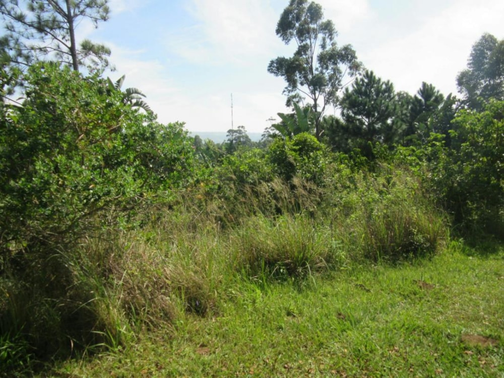 Vacant land for sale in Leisure Bay - 1PD1264139 Vacant land for sale in Leisure Bay - 1PD1264139