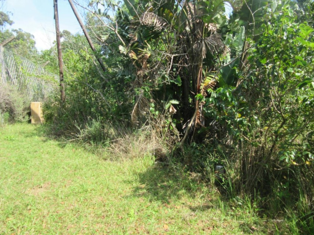 Vacant land for sale in Leisure Bay - 1PD1264139 Vacant land for sale in Leisure Bay - 1PD1264139