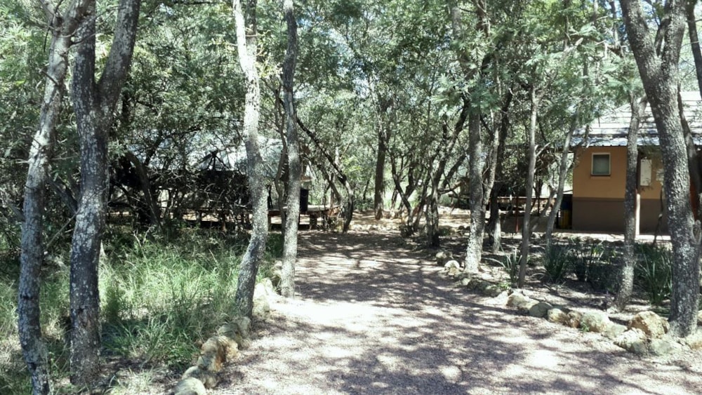 Game farm for sale in Bela Bela - 1MM1264887