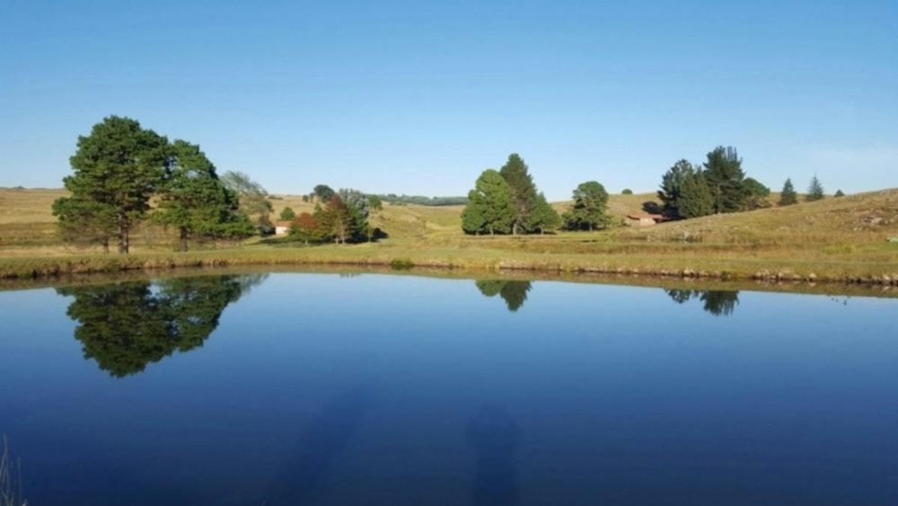 Mixed use farm sold in Dullstroom - 1DS1595507 Mixed use farm sold in Dullstroom - 1DS1595507