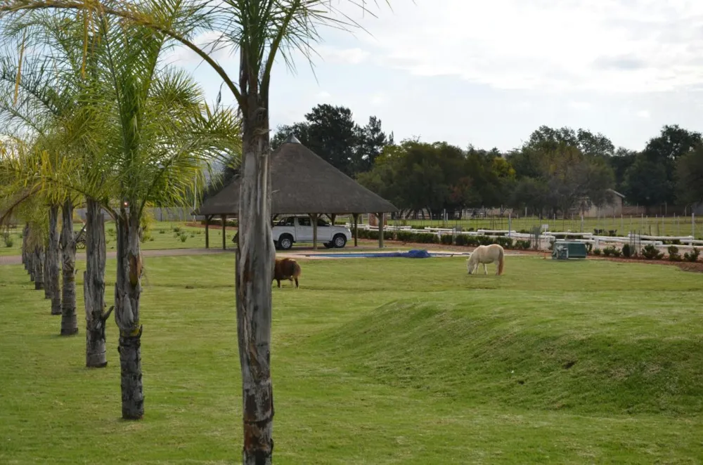 Smallholding for sale in Rustenburg - 1RU1267683 Smallholding for sale in Rustenburg - 1RU1267683