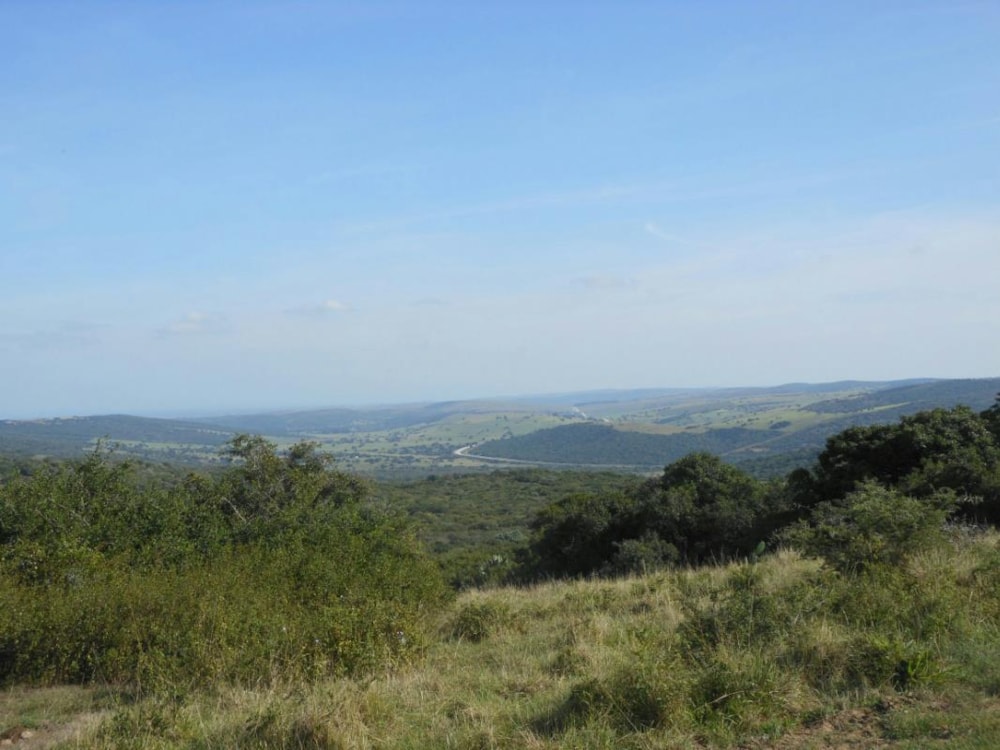 Livestock farm for sale in Alexandria - 1GC1721482 Livestock farm for sale in Alexandria - 1GC1721482