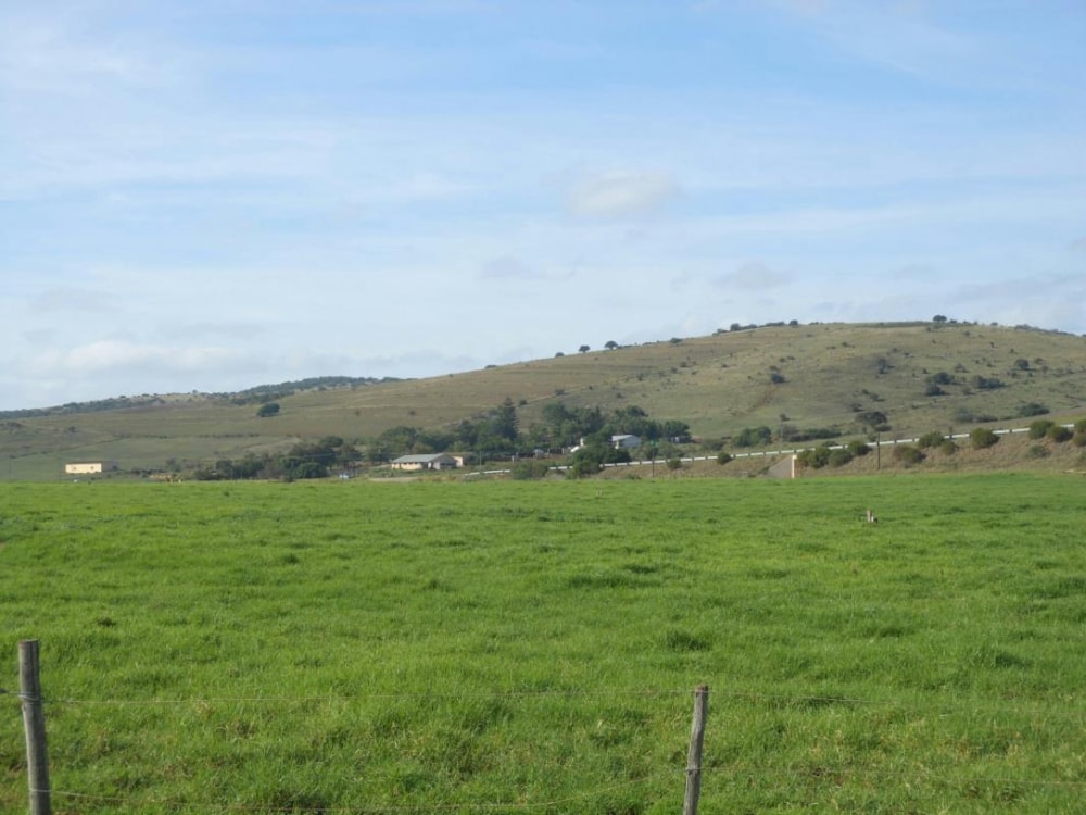 Livestock farm for sale in Alexandria - 1GC1721482 Livestock farm for sale in Alexandria - 1GC1721482