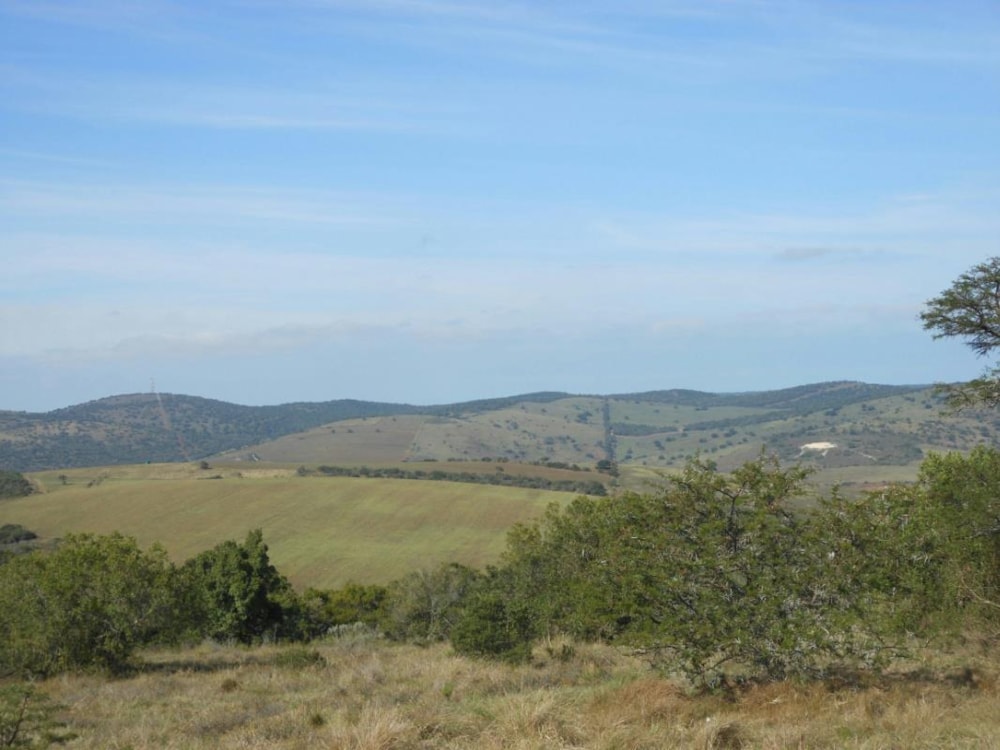 Livestock farm for sale in Alexandria - 1GC1721482 Livestock farm for sale in Alexandria - 1GC1721482