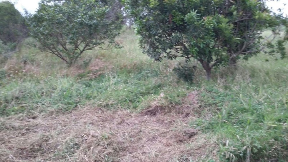 Residential vacant land for sale in Sezela - 1si1269170