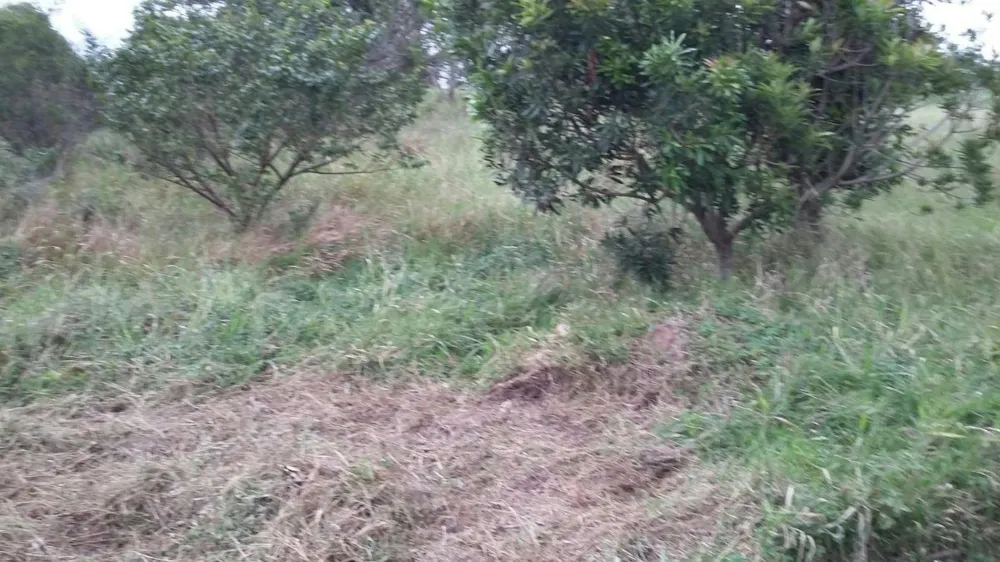 Residential vacant land for sale in Sezela - 1si1269170 Residential vacant land for sale in Sezela - 1si1269170