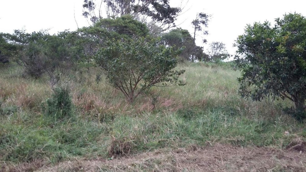 Residential vacant land for sale in Sezela - 1si1269170