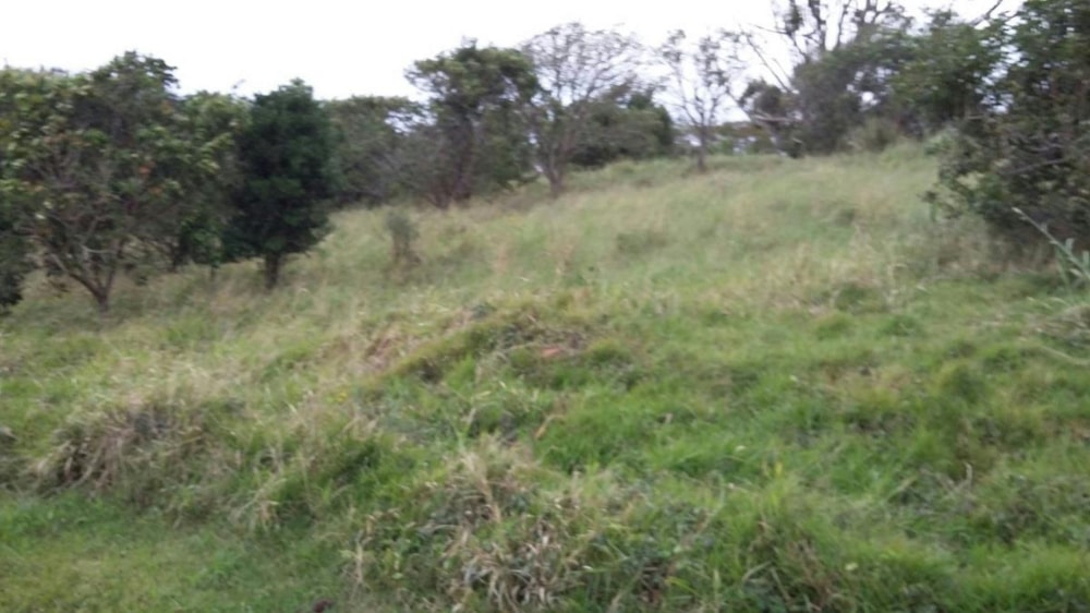 Residential vacant land for sale in Sezela - 1si1269170