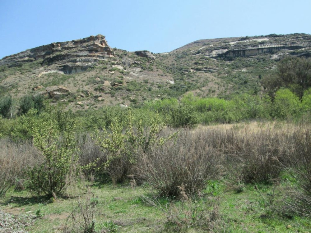 Vacant land for sale in Clarens - 1CS1070565 Vacant land for sale in Clarens - 1CS1070565
