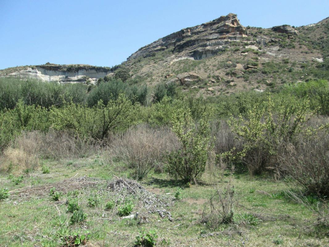 Vacant land for sale in Clarens - 1CS1070565
