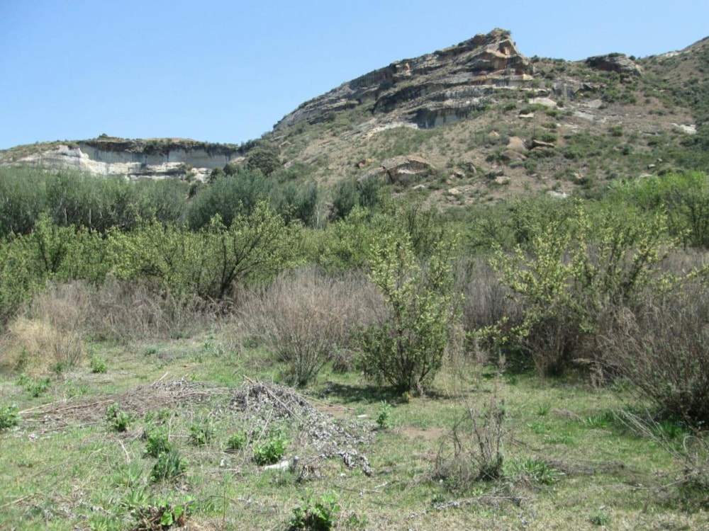 Vacant land for sale in Clarens - 1CS1070565 Vacant land for sale in Clarens - 1CS1070565