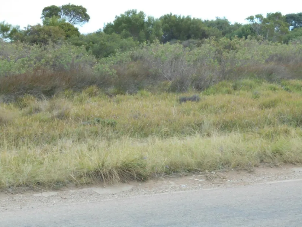 Residential vacant land for sale in C-Place - 1JF1273638