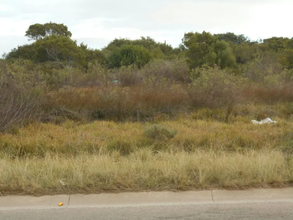 Residential vacant land for sale in C-Place - 1JF1273638