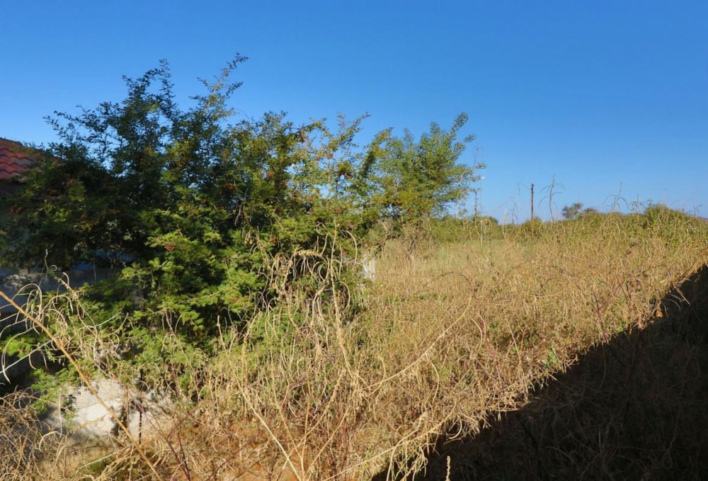 Vacant land for sale in Ellisras (Lephalale) - 1ER1272235 Vacant land for sale in Ellisras (Lephalale) - 1ER1272235