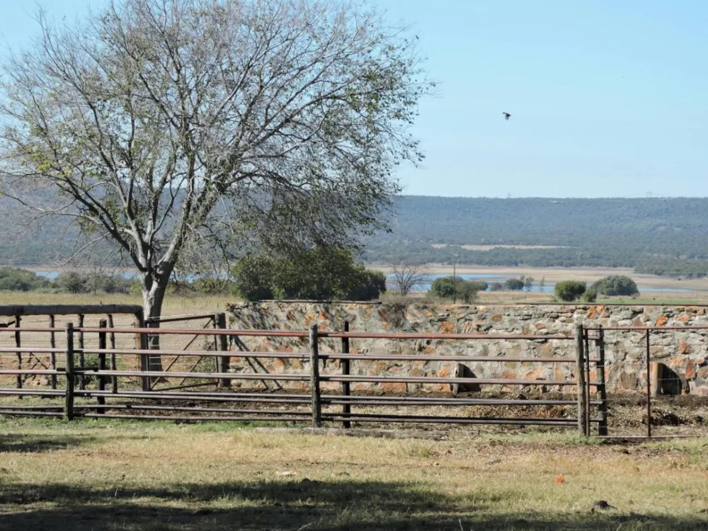 Mixed use farm for sale in Koster - 1RU1273495 Mixed use farm for sale in Koster - 1RU1273495