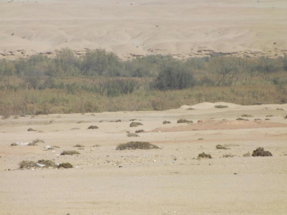 Smallholding for sale in Swakopmund, Namibia - 3NM1276361 Smallholding for sale in Swakopmund, Namibia - 3NM1276361