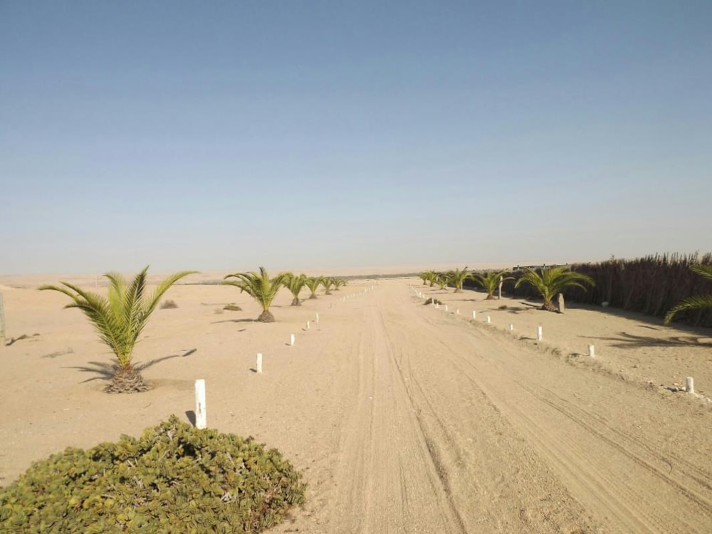 Smallholding for sale in Swakopmund, Namibia - 3NM1276361 Smallholding for sale in Swakopmund, Namibia - 3NM1276361