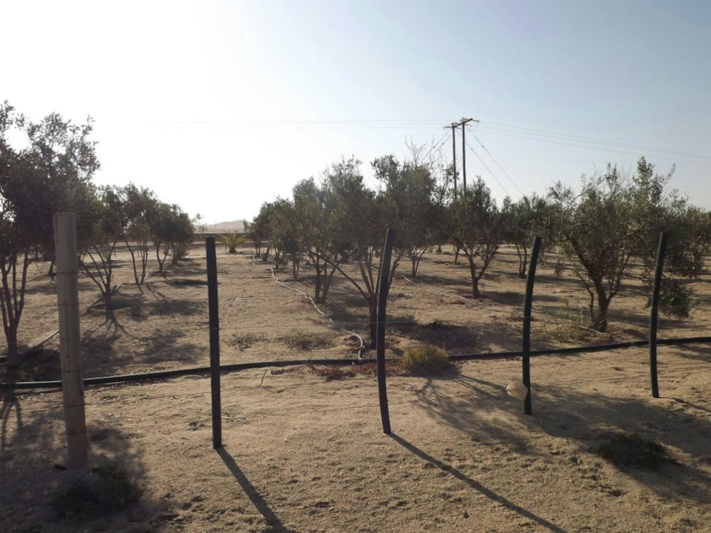 Smallholding for sale in Swakopmund, Namibia - 3NM1276361 Smallholding for sale in Swakopmund, Namibia - 3NM1276361