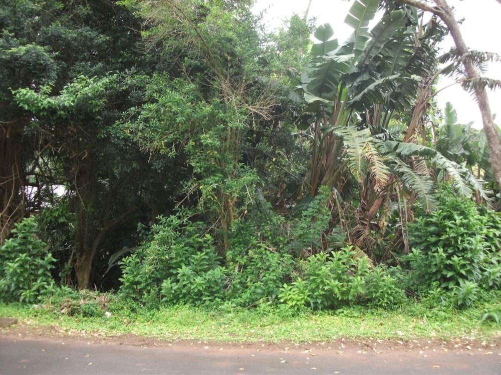 Residential vacant land for sale in Trafalgar - 1PD1290928