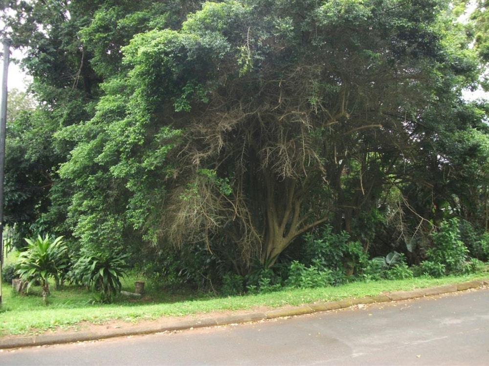 Residential vacant land for sale in Trafalgar - 1PD1290928