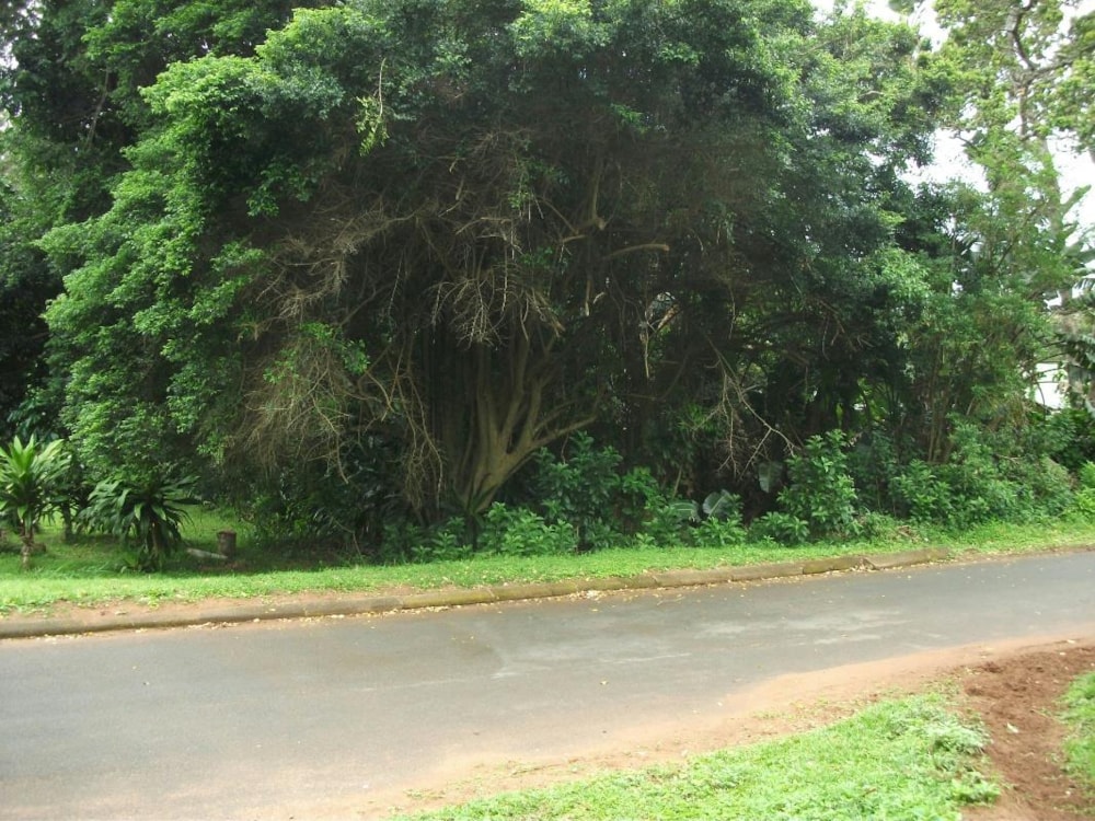 Residential vacant land for sale in Trafalgar - 1PD1290928