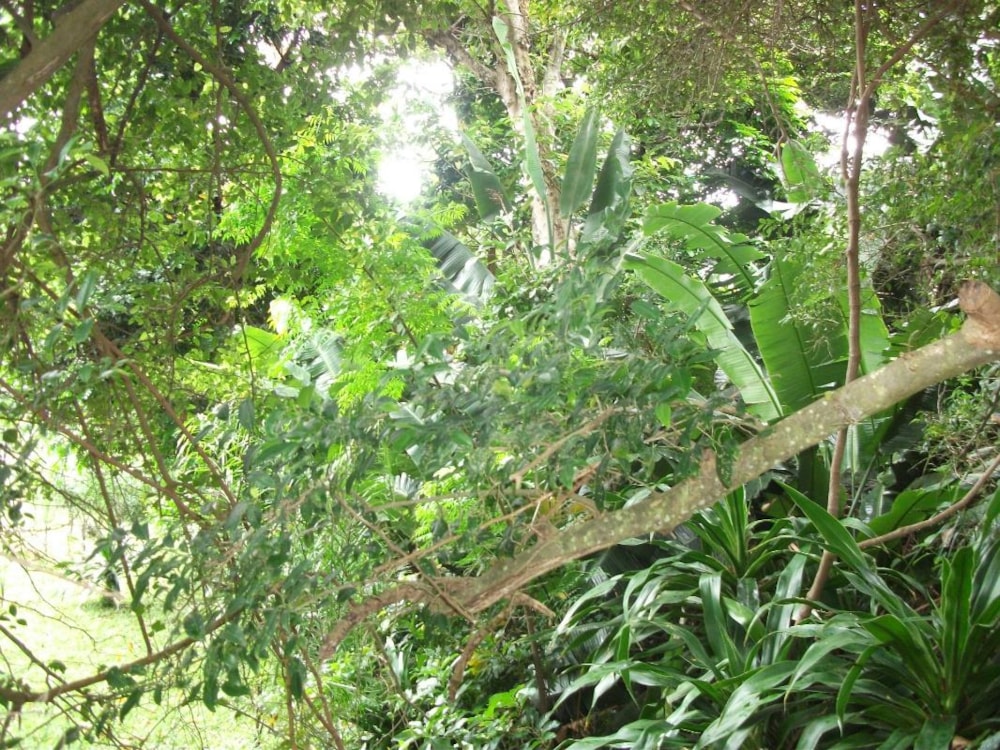 Residential vacant land for sale in Trafalgar - 1PD1290928 Residential vacant land for sale in Trafalgar - 1PD1290928