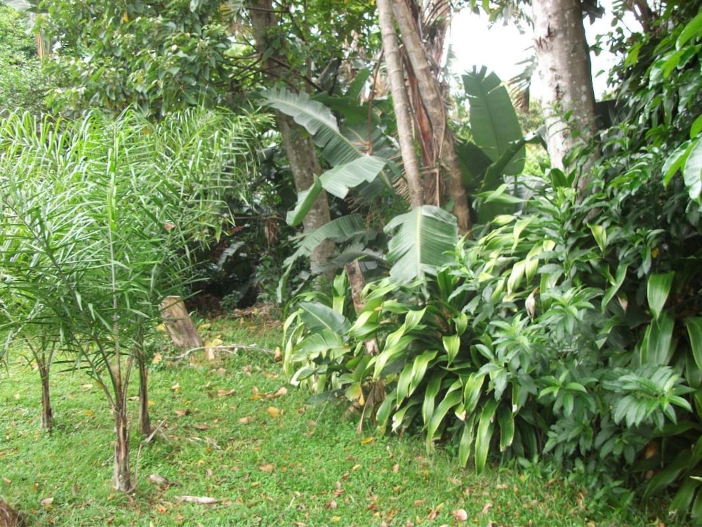 Residential vacant land for sale in Trafalgar - 1PD1290928 Residential vacant land for sale in Trafalgar - 1PD1290928